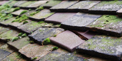 Biddlesden roof repair costs
